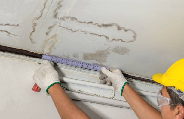 Reliable Basement Flooding contractor in Sherman, IL by Local Water Damage Repair